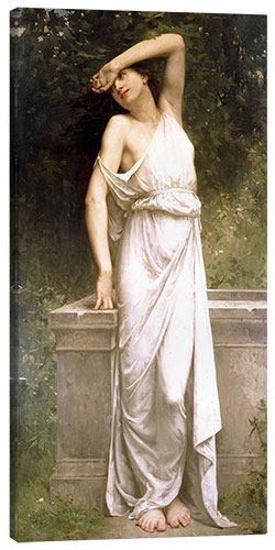 Obraz na płótnie A Classical Beauty by a Well