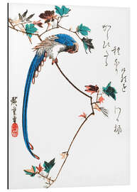 Magnettafel Blaue Elster auf Ahornzweig