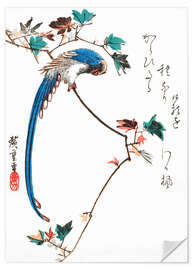 Selvklebende plakat Blue magpie on maple branch