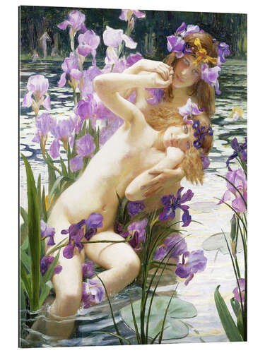 Stampa su plexi-alluminio Les Iris, 1897