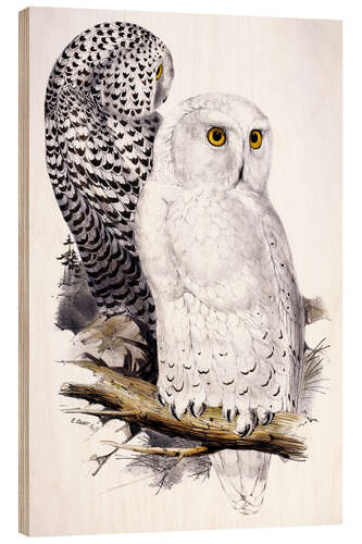 Stampa su legno Snowy Owl