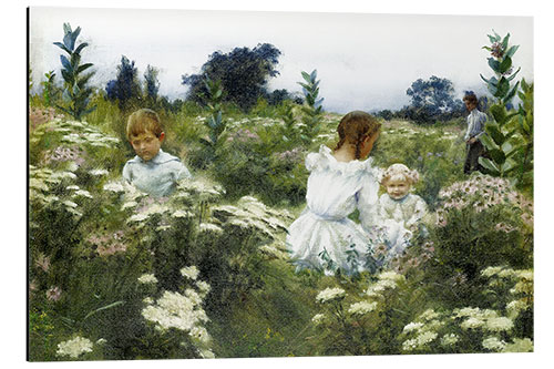 Aluminium print Among the Wildflowers