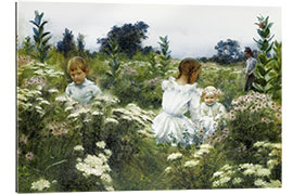 Gallery print Among the Wildflowers