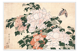 Poster  Peonie e una farfalla - Katsushika Hokusai