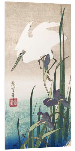 Foam board print White heron and iris