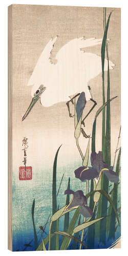 Trebilde White heron and iris