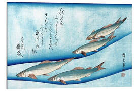 Magnettafel Rivertrout