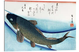 Gallery print Carp