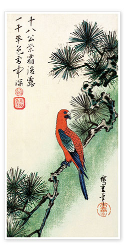 Poster Pin et perroquet
