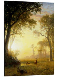 Magnettafel Sonnenbeschienene Lichtung