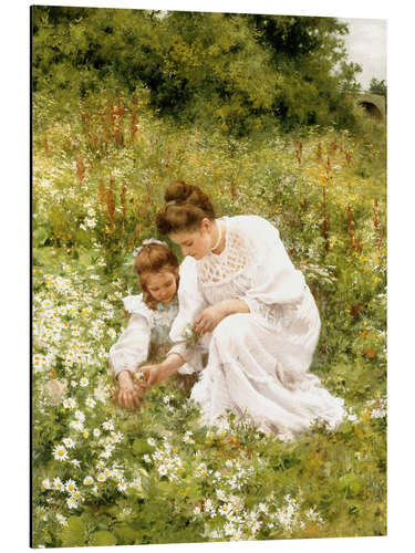 Aluminium print When picking daisies