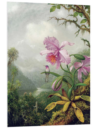 Foam board print Hummingbird perched on an Orchid Plant