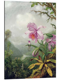 Magnettafel Kolibri thront auf einer Orchidee