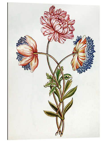 Gallery print Bouquet of Anemones