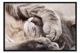 Gerahmter Kunstdruck Oh nein, ich will noch schlafen