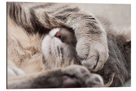 Magnettafel Oh nein, ich will noch schlafen