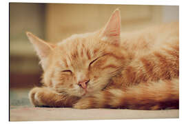 Magnettafel Friedlich schlafen