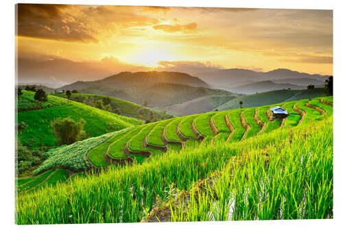 Akryylilasitaulu landscape of Rice Terraces