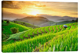 Canvas print landscape of Rice Terraces