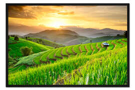 Gerahmter Kunstdruck  Reisterrassen Landschaft