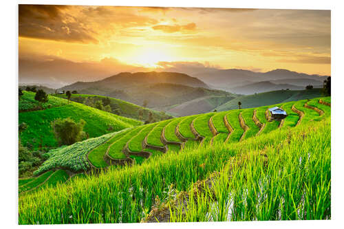 Foam board print landscape of Rice Terraces