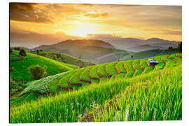 Magnettafel  Reisterrassen Landschaft
