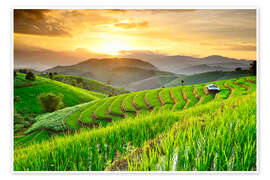 Plakat landscape of Rice Terraces