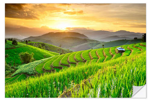 Vinilo para la pared landscape of Rice Terraces