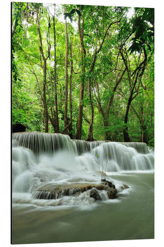 Aluminium print Waterfall in forest of Thailand