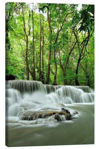 Stampa su tela Waterfall in forest of Thailand