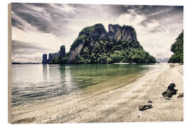 Obraz na drewnie Nature and Vegetation of Thailand