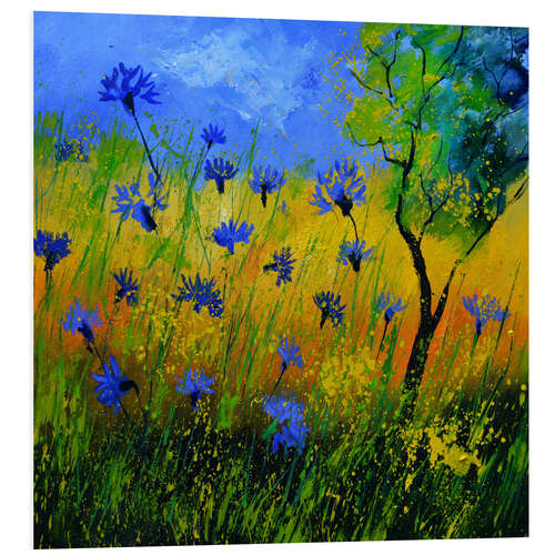 Foam board print Field of cornflowers II