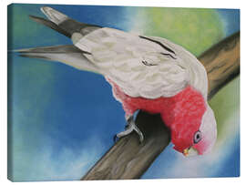 Quadro em tela pink cockatoo