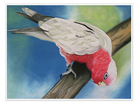 Kunstwerk  pink cockatoo - Monica Schwarz