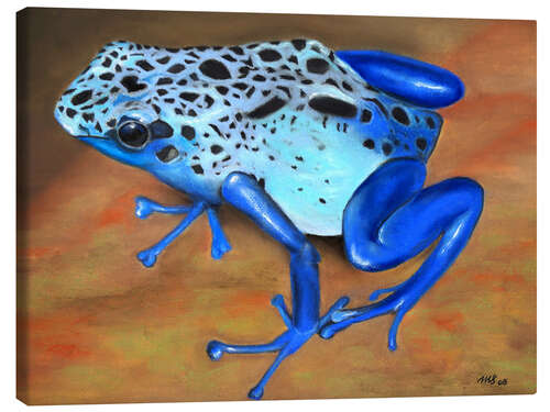 Canvas print poison dart frog