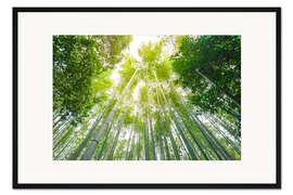 Gerahmter Kunstdruck Licht fällt durch den Bambuswald