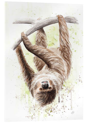 Acrylic print sloth