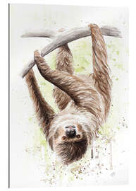 Galleritryk sloth