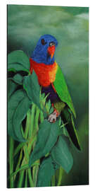 Tableau en aluminium Rainbow Lorikeet