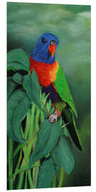 Foam board print Rainbow Lorikeet