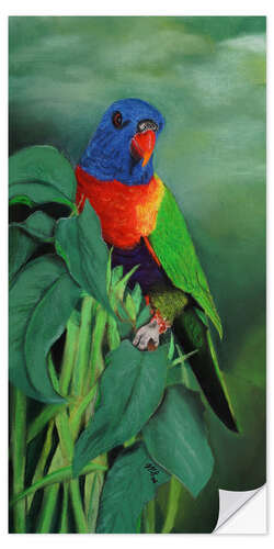 Wall sticker Rainbow Lorikeet