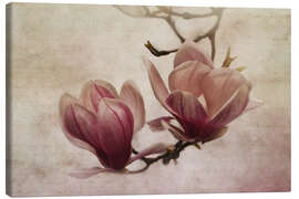 Canvas print greetings of spring - Claudia Moeckel