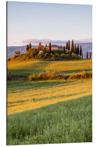 Stampa su alluminio Podere Belvedere al tramonto, Toscana, Italia