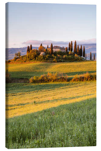 Canvastavla Podere Belvedere at sunrise, Tuscany, Italy