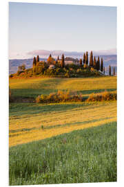 Foam board print Podere Belvedere at sunrise, Tuscany, Italy