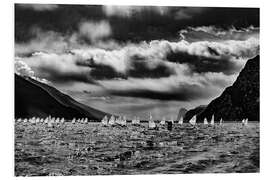 Foam board print Lake Garda Meeting Optimist