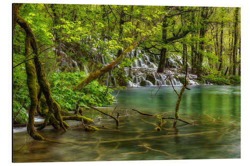 Tableau en aluminium Forêt sauvage et cascade