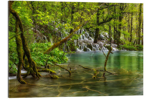 Cuadro de plexi-alu Wild water forest