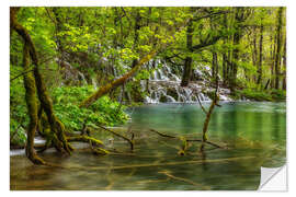 Selvklebende plakat Wild water forest