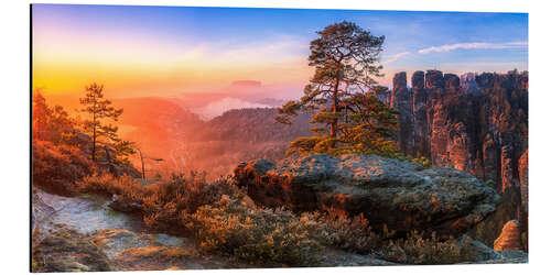 Alumiinitaulu View into the Saxon Switzerland III